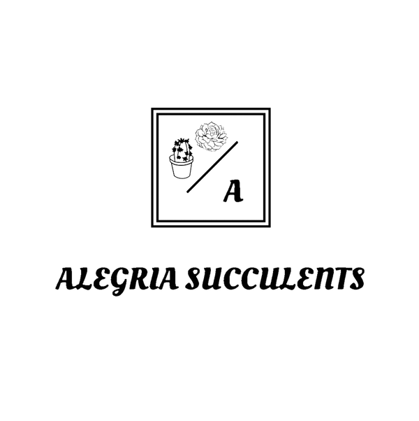 Alegria Succulents logo