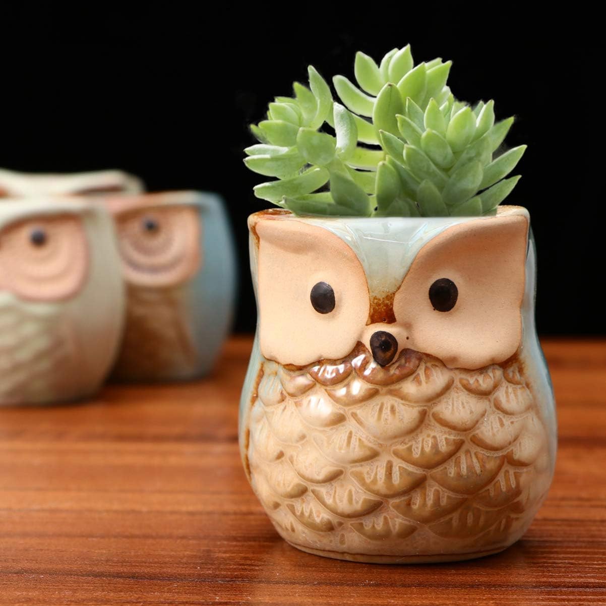 6pc set Tray Decor House Plants Owl Flower Pot Mini Ceramic Pots Animal Succulent Planter Pots