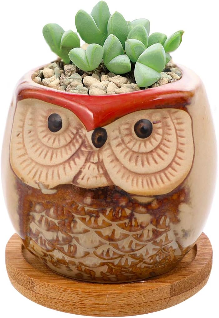 6pc set Tray Decor House Plants Owl Flower Pot Mini Ceramic Pots Animal Succulent Planter Pots