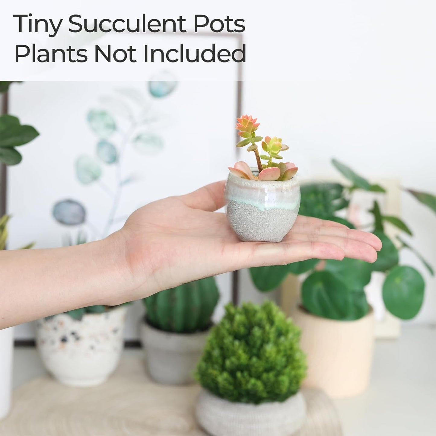 6 PC Small Ceramic Succulent Pots with Drainage, Mini Pots for Plants, Tiny Porcelain Planter