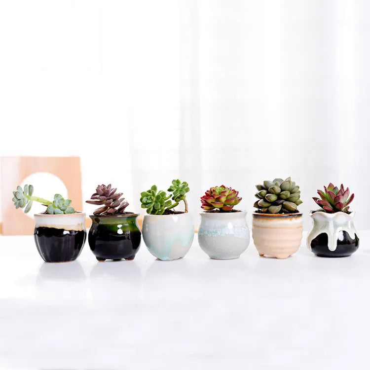6 PC Small Ceramic Succulent Pots with Drainage, Mini Pots for Plants, Tiny Porcelain Planter