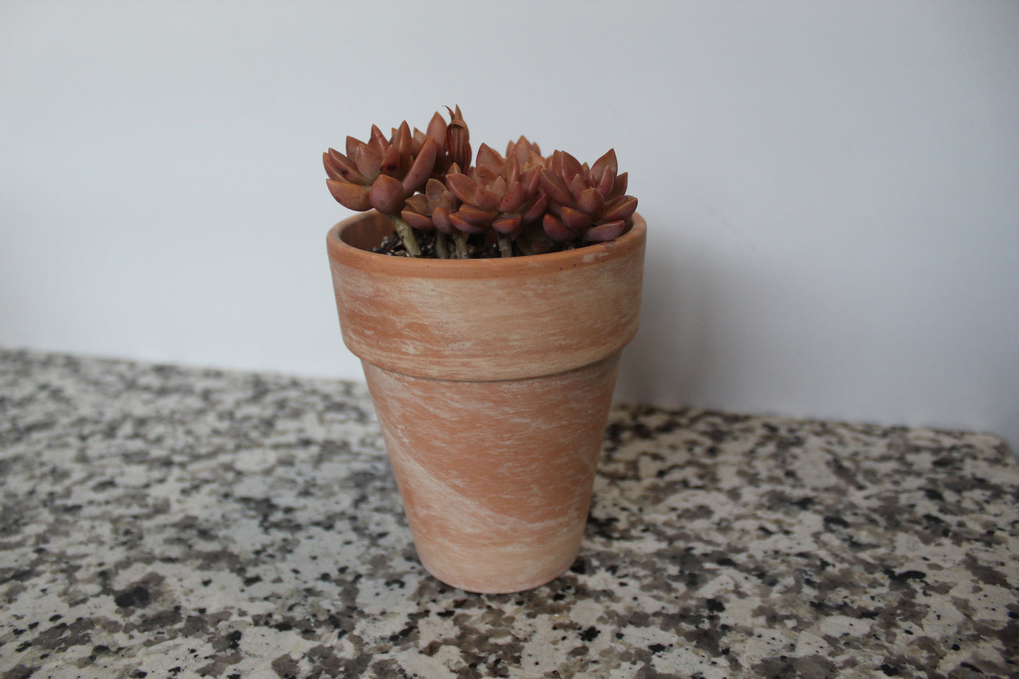 4" Ceramic pot
